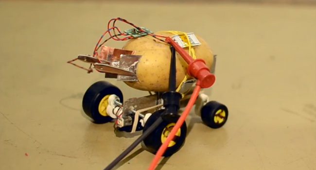 Фото - #видео | Житель Польши построил самоуправляемого робота из картофелины