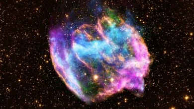 Фото - Телескоп «Джеймс Уэбб» сфотографировал взрыв сверхновой. Почему это важно?